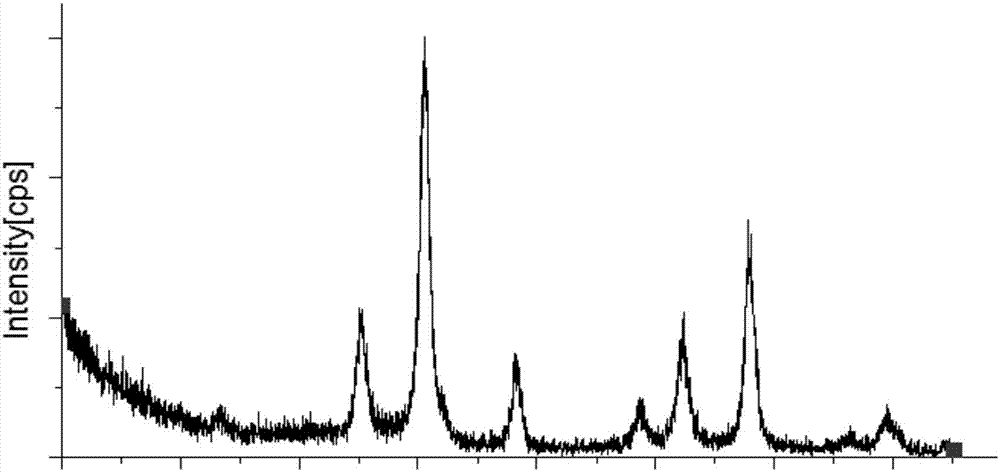 Ferroferric oxide immunonanomagnetic bead, and preparation method and application thereof