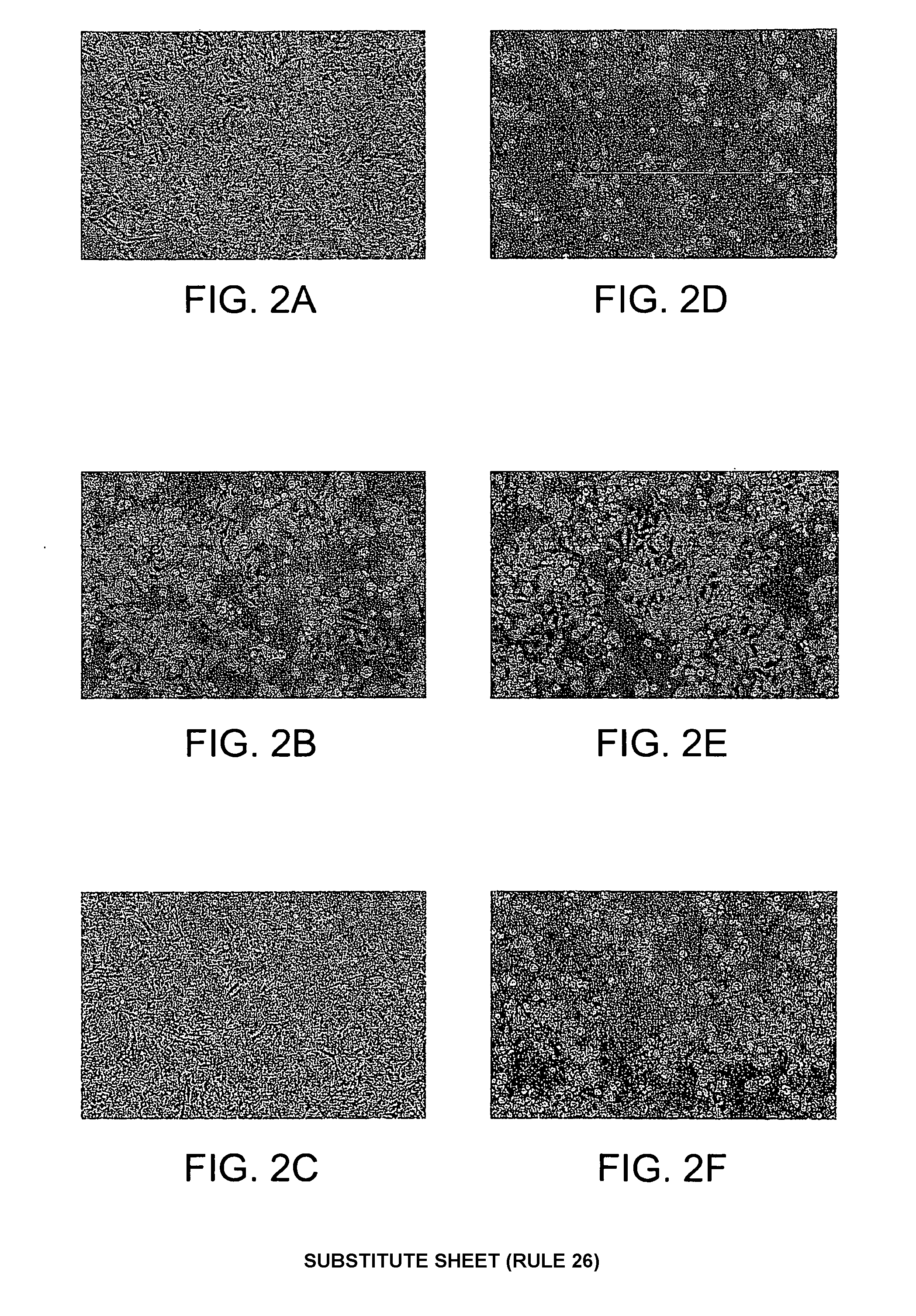 Compositions and methods for modifying cellular properties