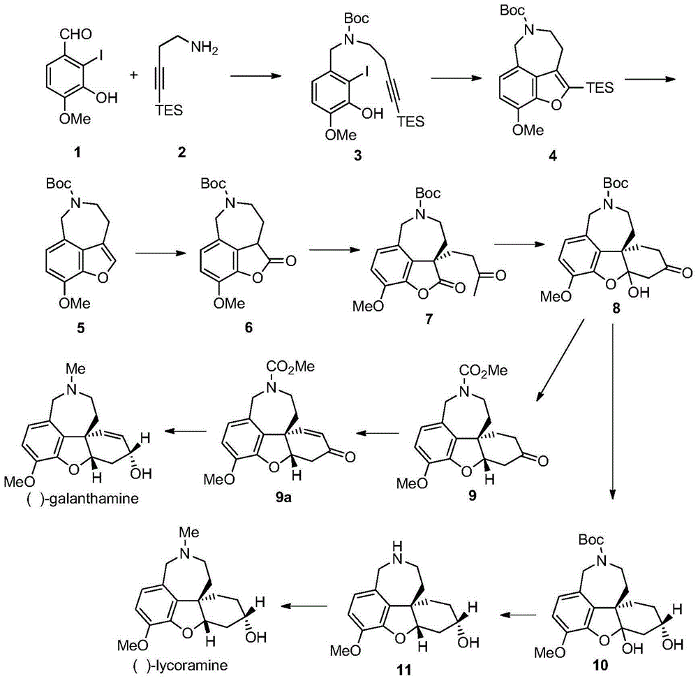 Asymmetric synthesis method of galanthamine and lycoramine