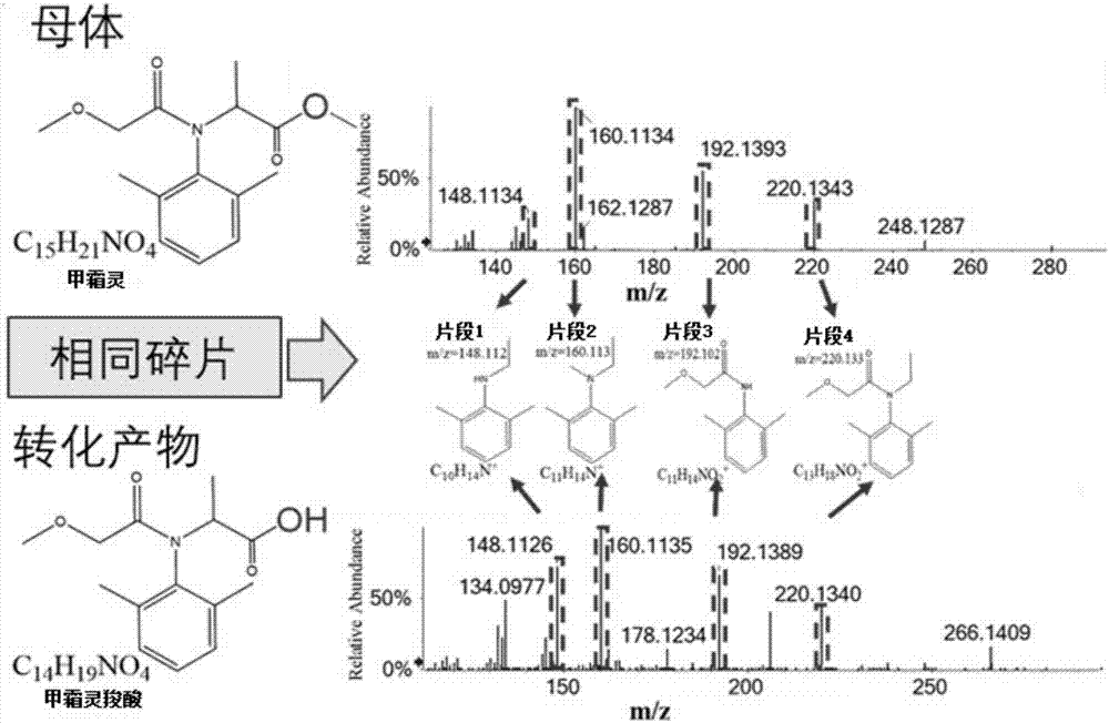 Method for quickly screening pesticides, drugs and converting products in waste water at same time