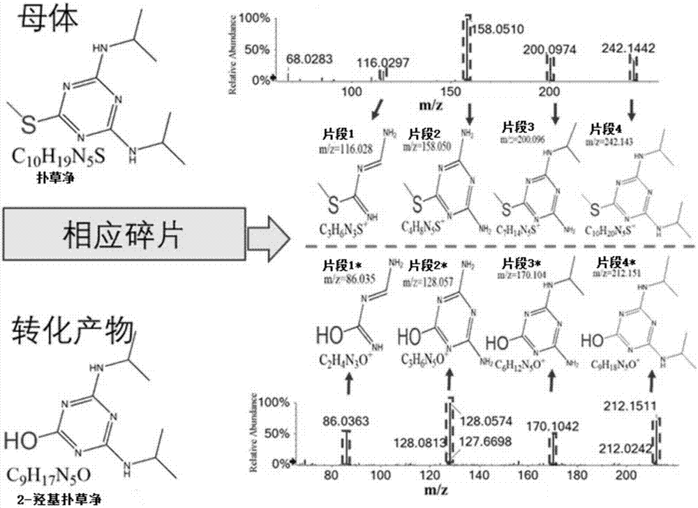 Method for quickly screening pesticides, drugs and converting products in waste water at same time