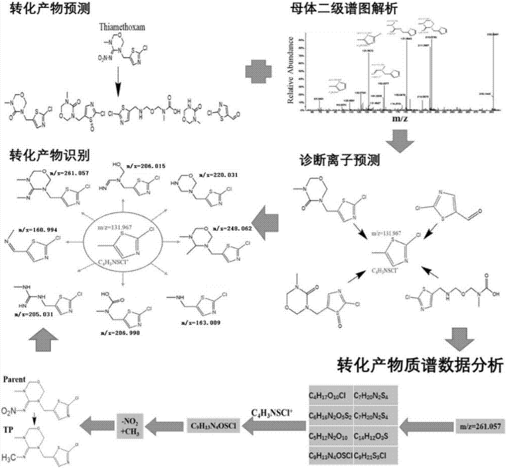 Method for quickly screening pesticides, drugs and converting products in waste water at same time