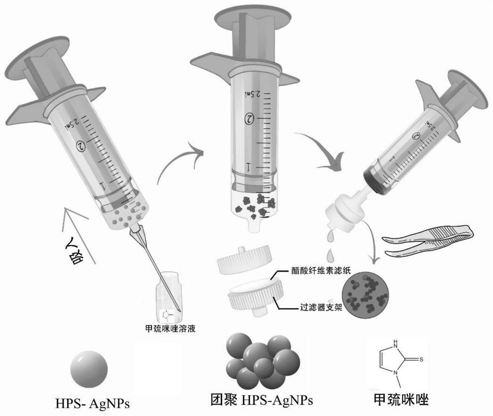 Radix hedysari polysaccharide functionalized silver nanoparticle colorimetric sensor as well as preparation method and application thereof in detection of methimazole