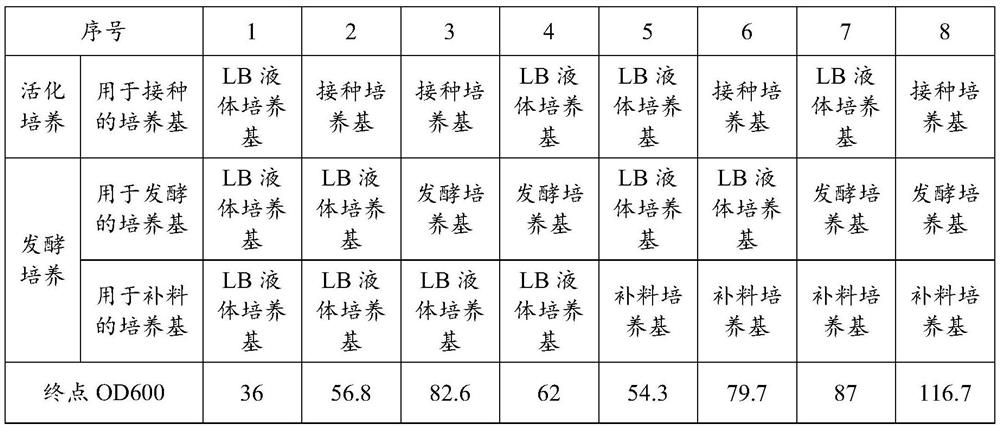 Method for high-density culture of alkanet endophyte