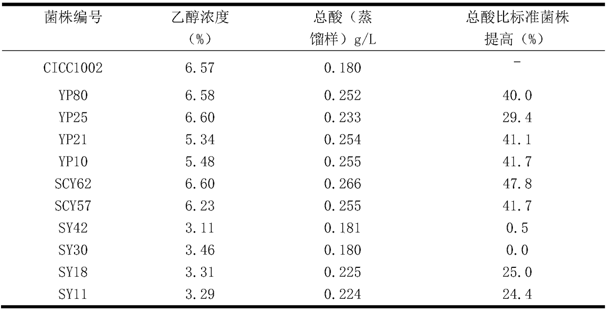 Saccharomyces cerevisiae with high acid yield and low yield fusel oil as well as composition and application of saccharomyces cerevisiae