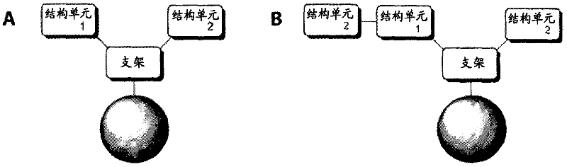 Process for the purification of antibodies using affinity resins comprising specific ligands