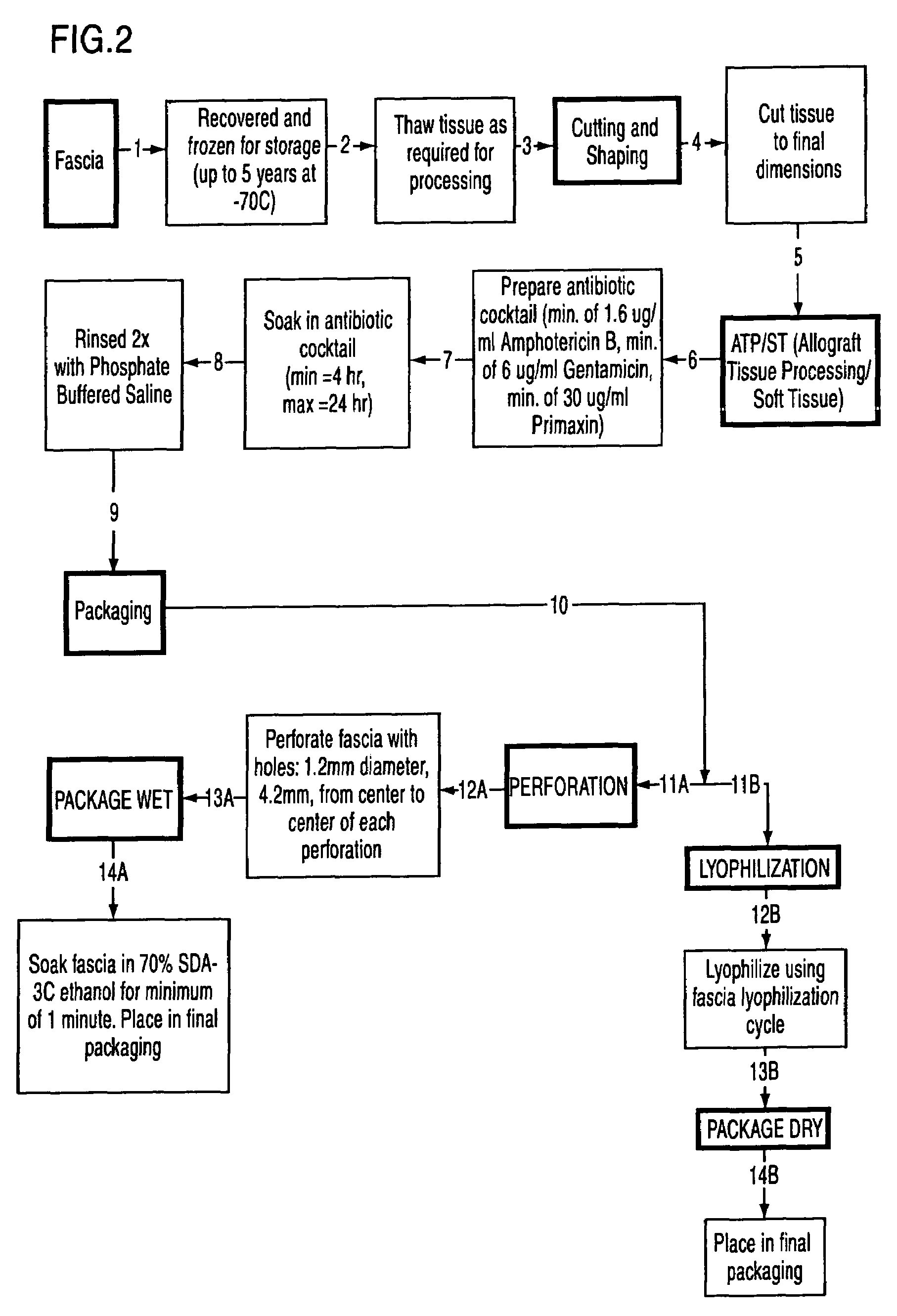 Soft tissue processing