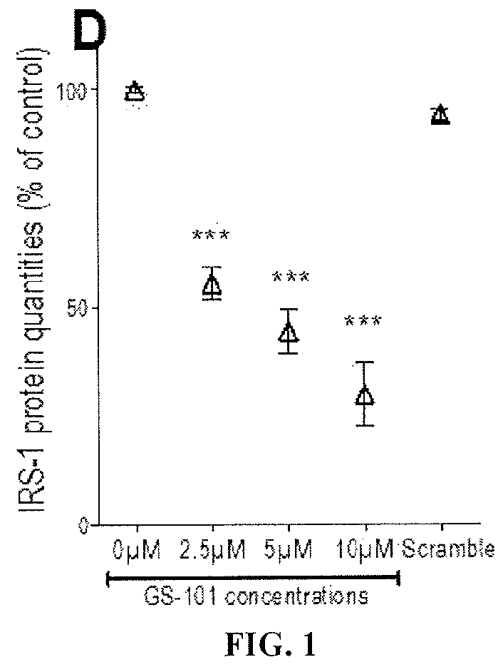 Inhibitor of IRS-1 for treating skin disorders