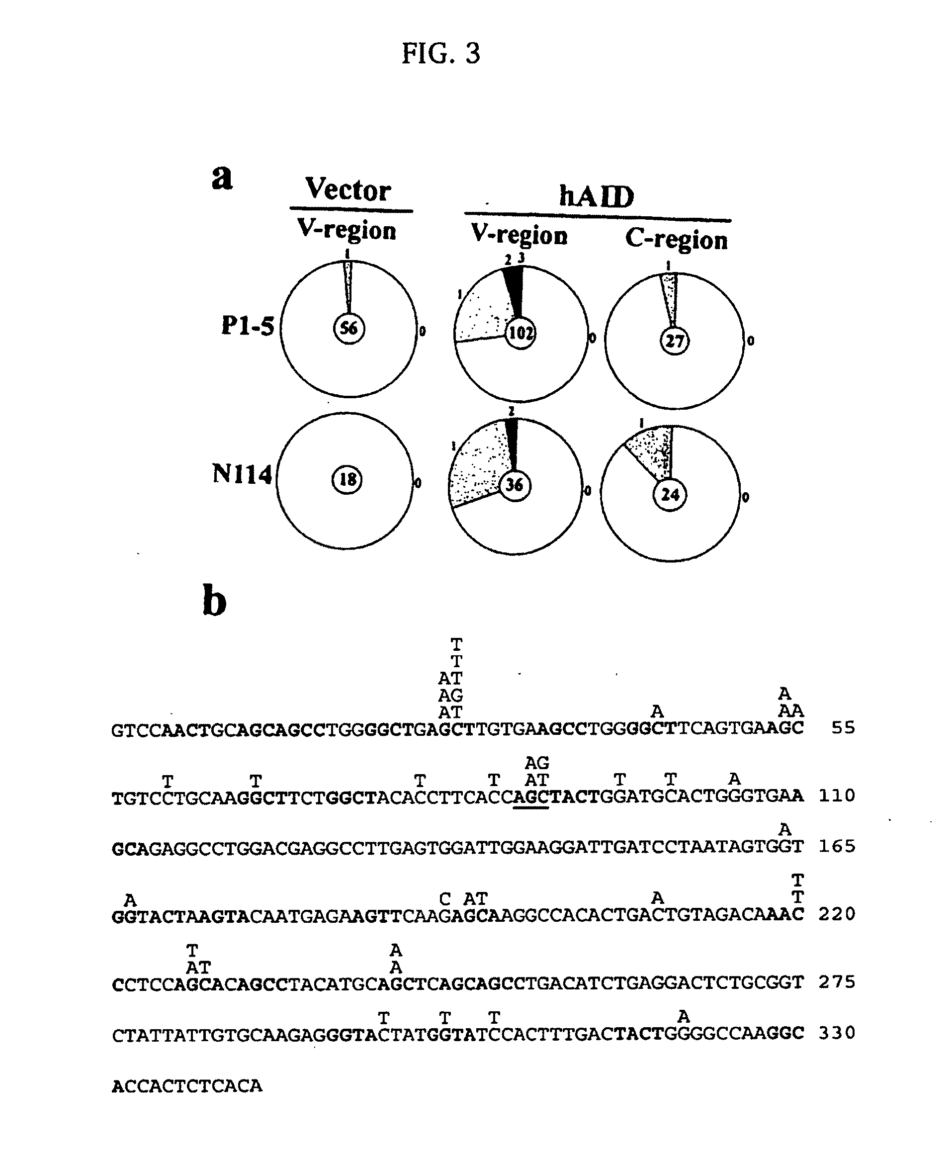 Mutations caused by activation-induced cytidine deaminase