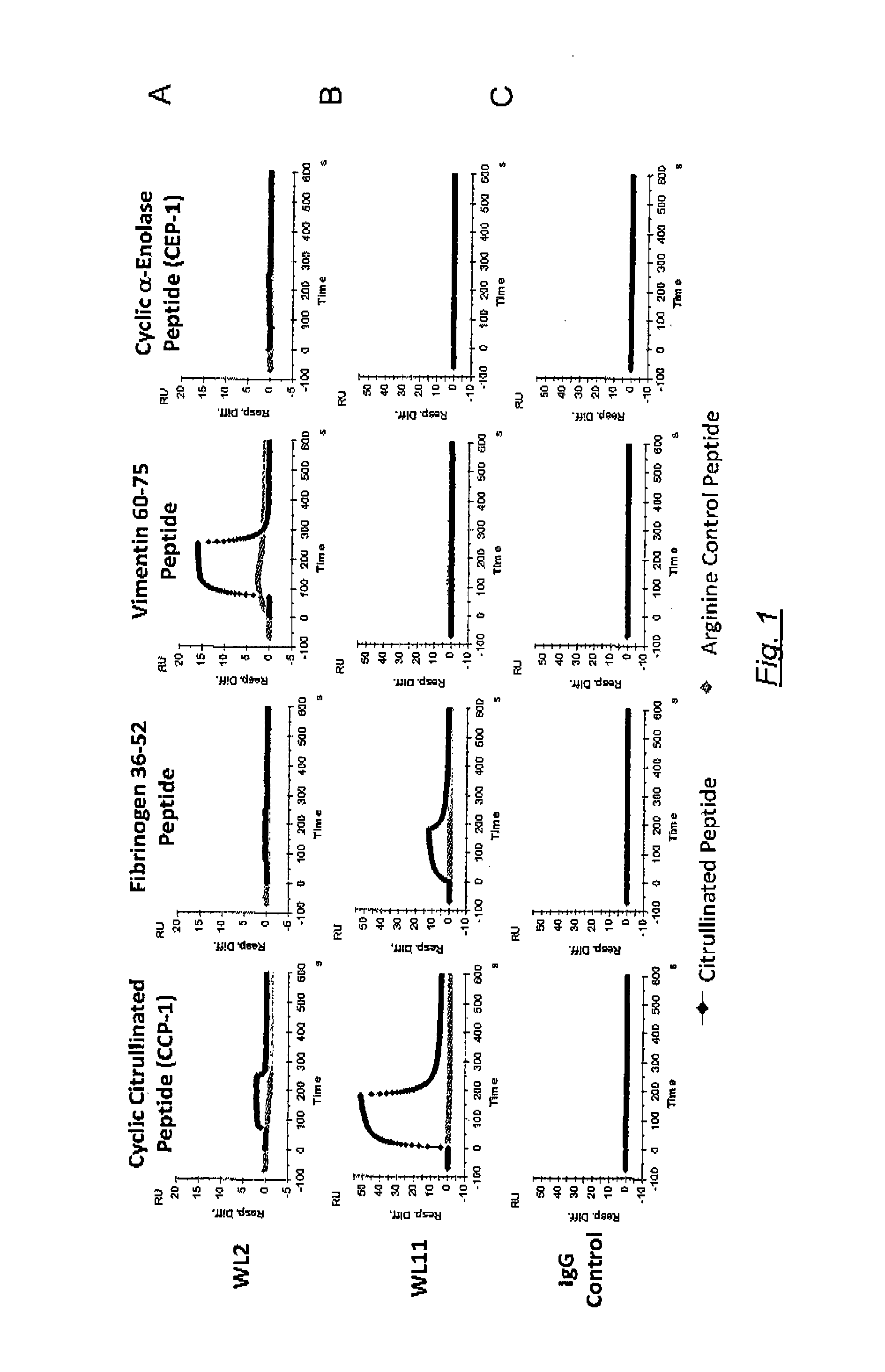 Novel Antibodies for the Diagnosis and Treatment of Rheumatoid Arthritis