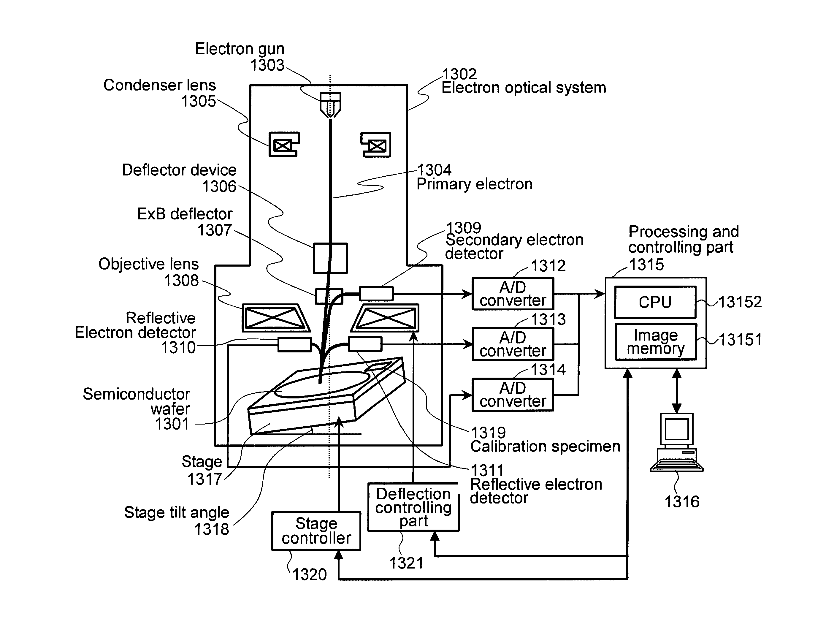 Method and apparatus for observing a specimen