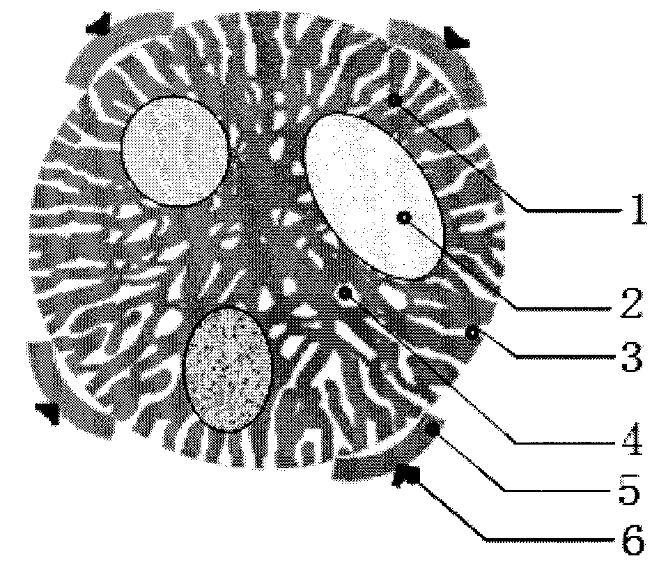 Plant cell microspheres and use thereof