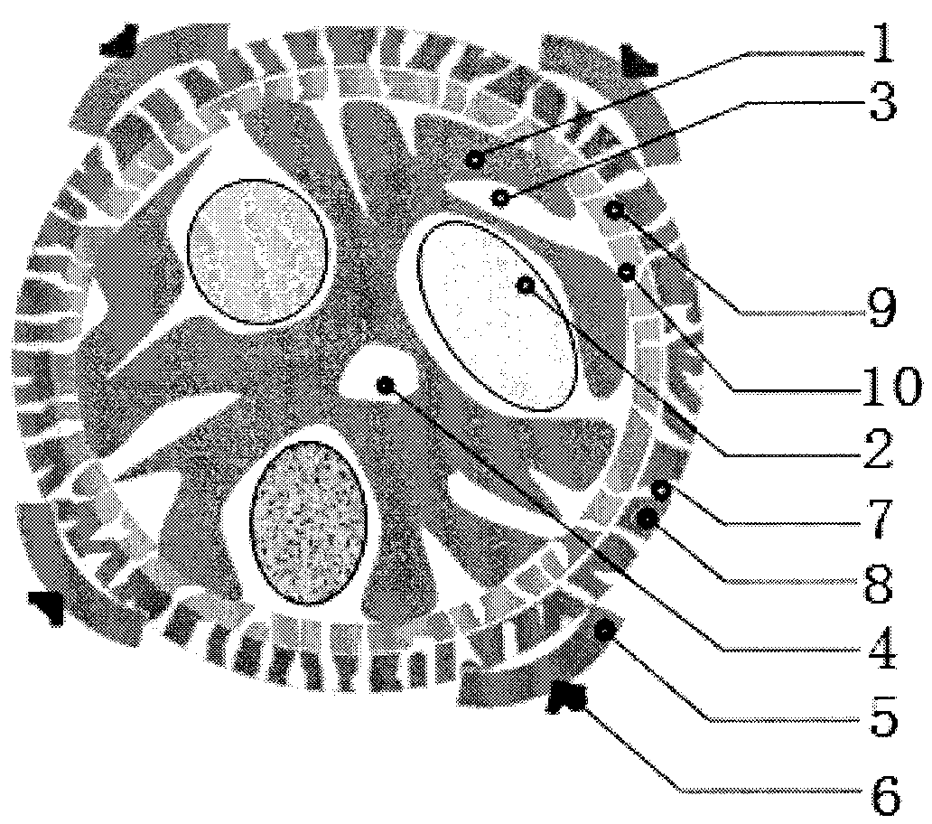 Plant cell microspheres and use thereof