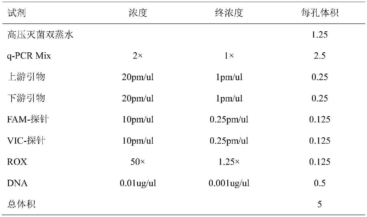 Ntn1 Gene Susceptible SNP Site and Its Application