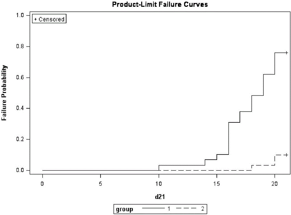 Anal fistula patch or plug, as well as preparation method and application thereof