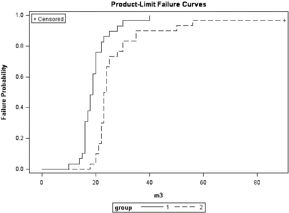 Anal fistula patch or plug, as well as preparation method and application thereof