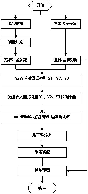 Green vegetable intelligent identification and leaf color environment change prediction method