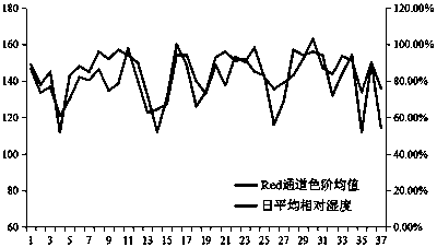 Green vegetable intelligent identification and leaf color environment change prediction method