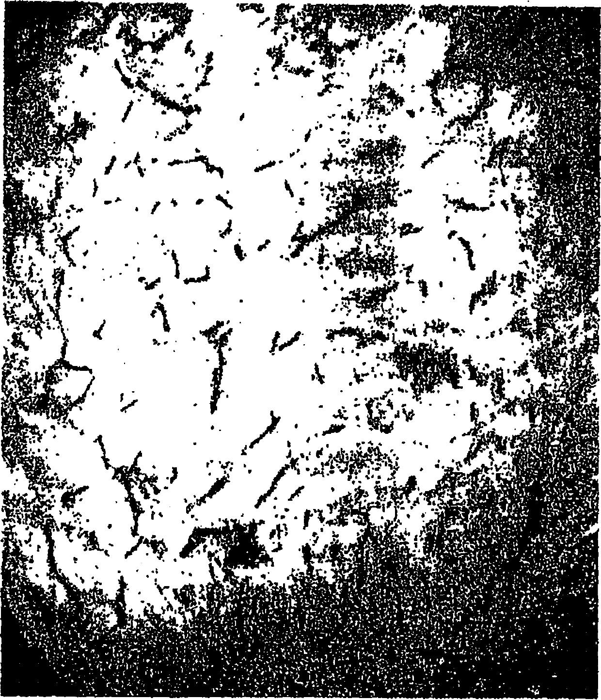 Recombinant tissue protective cytokines and encoding nucleic acids thereof for protection, restoration, and enhancement of responsive cells, tissues, and organs