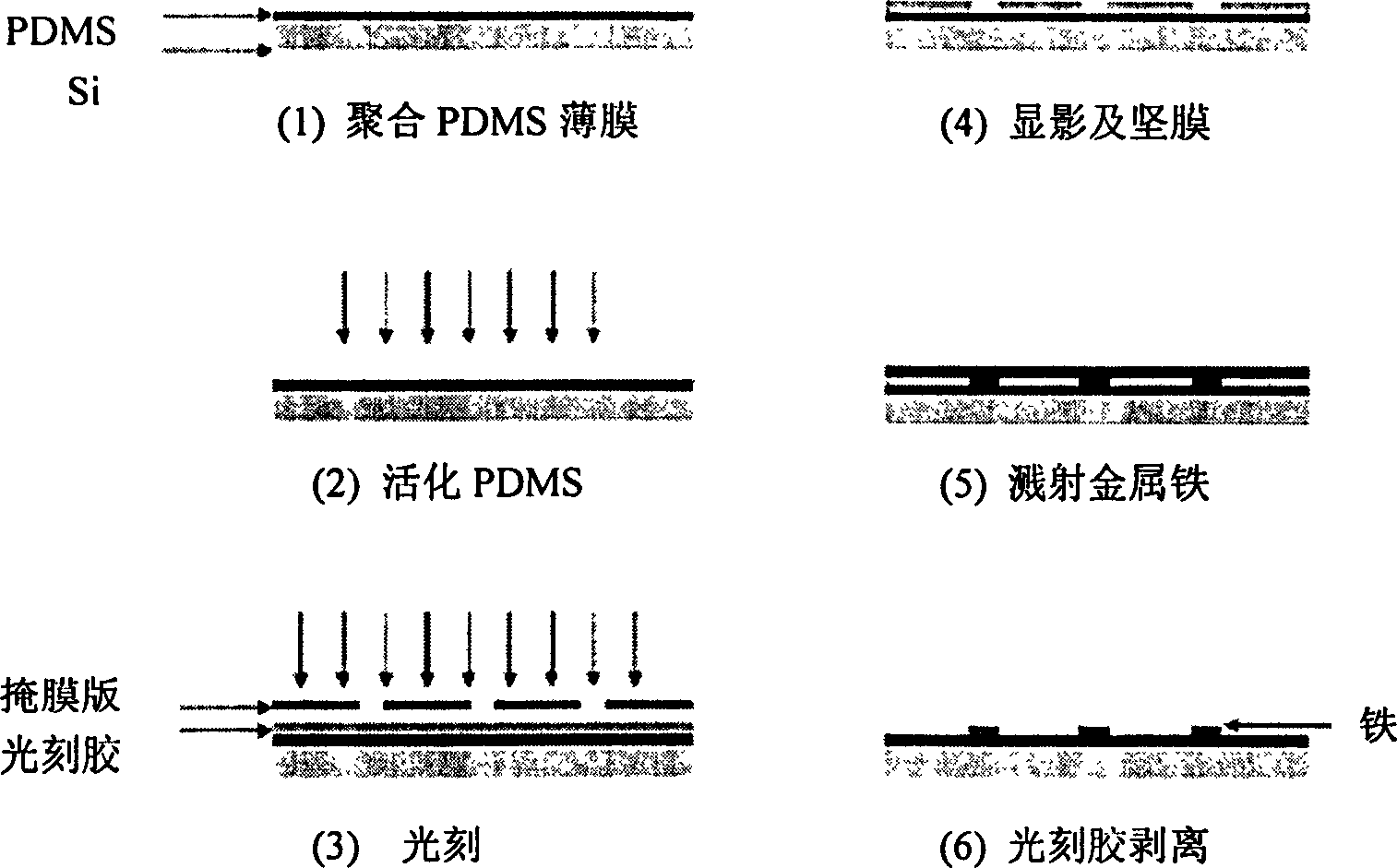 Hydrophilic and phydrophobic mode sheet base special for biological chip