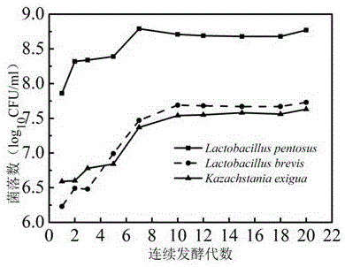 Old-jar pickled vegetable solid fermentation agent and preparation method thereof