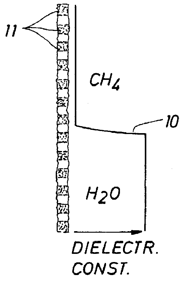 Downhole monitoring method and device