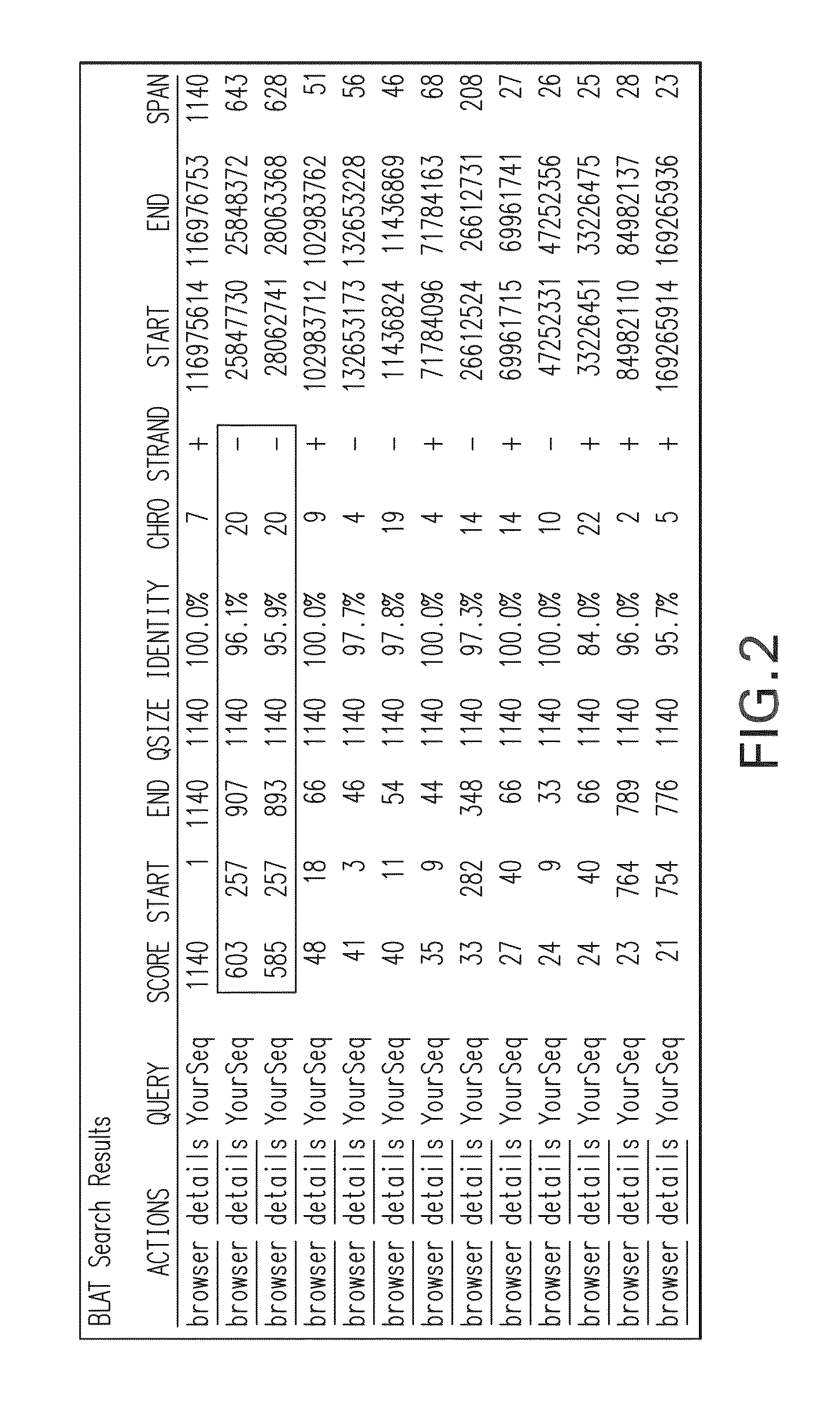 Mutation detection in highly homologous genomic regions