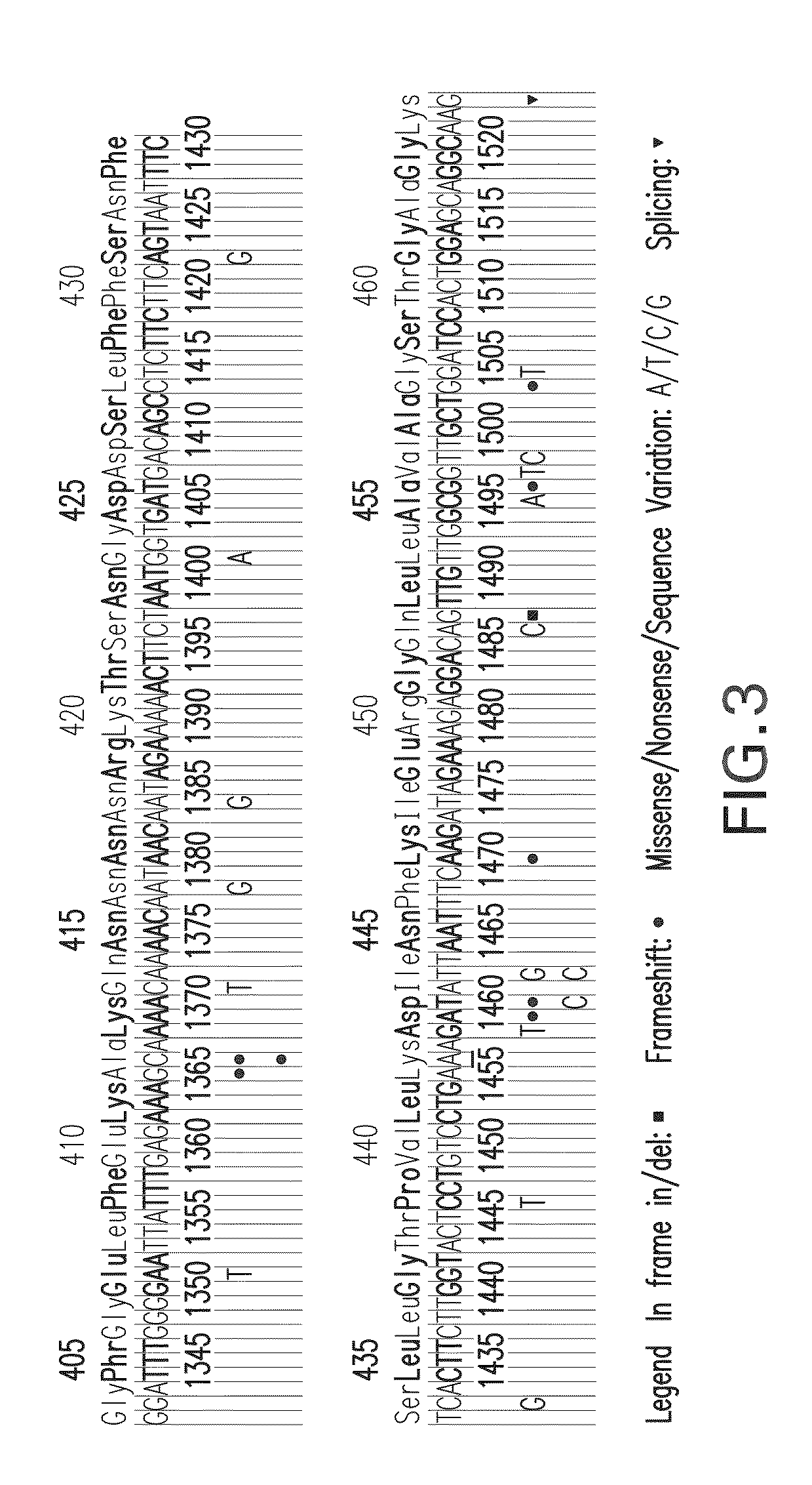 Mutation detection in highly homologous genomic regions