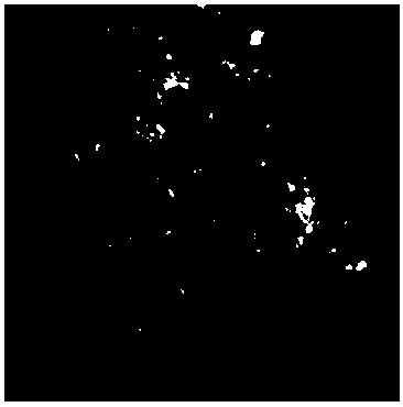 Preparation method of nano lead/carbon composite material and application of nano lead/carbon composite material