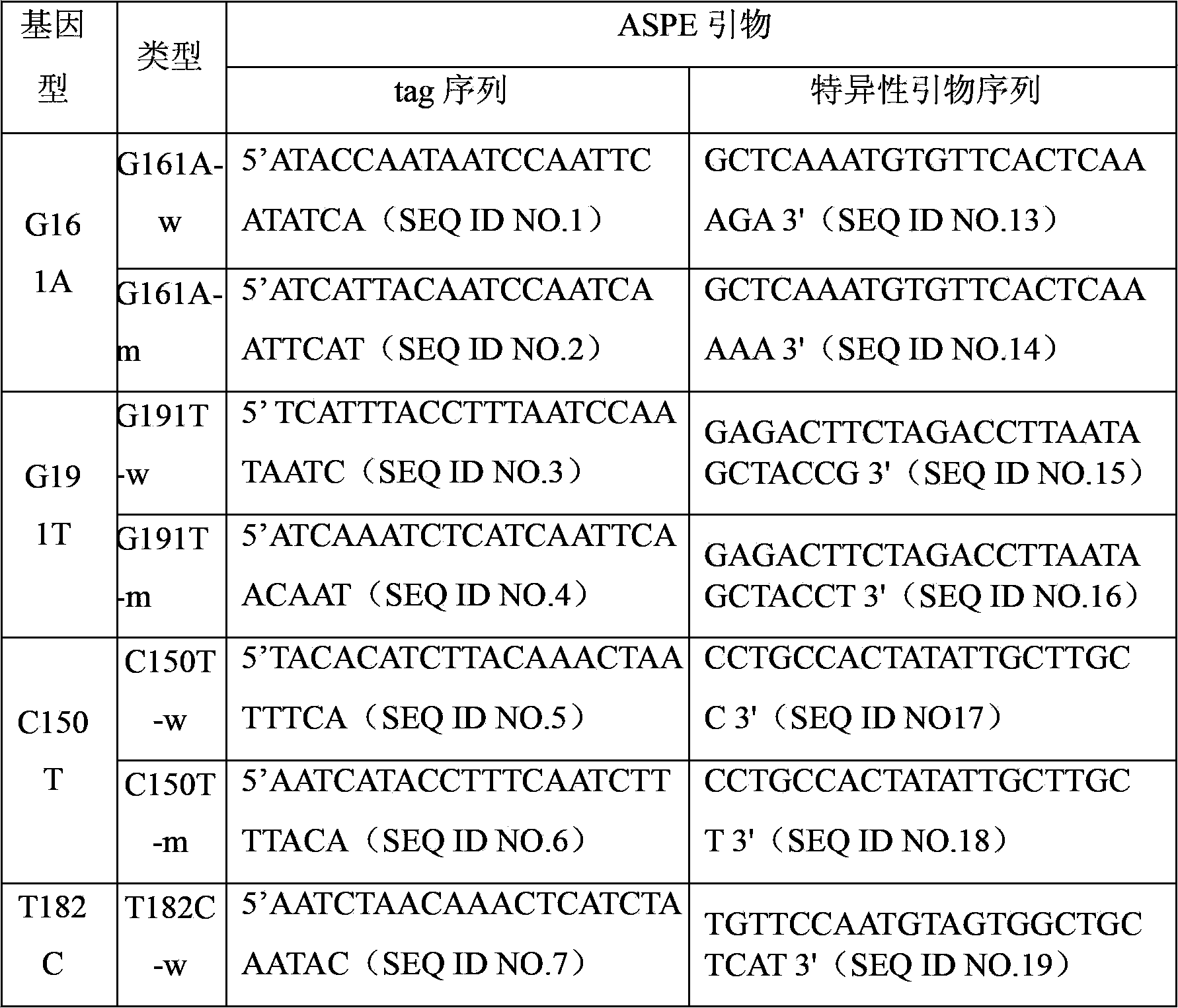 Specific detection primers and detection liquid phase chip for SLC22A3 gene mutation