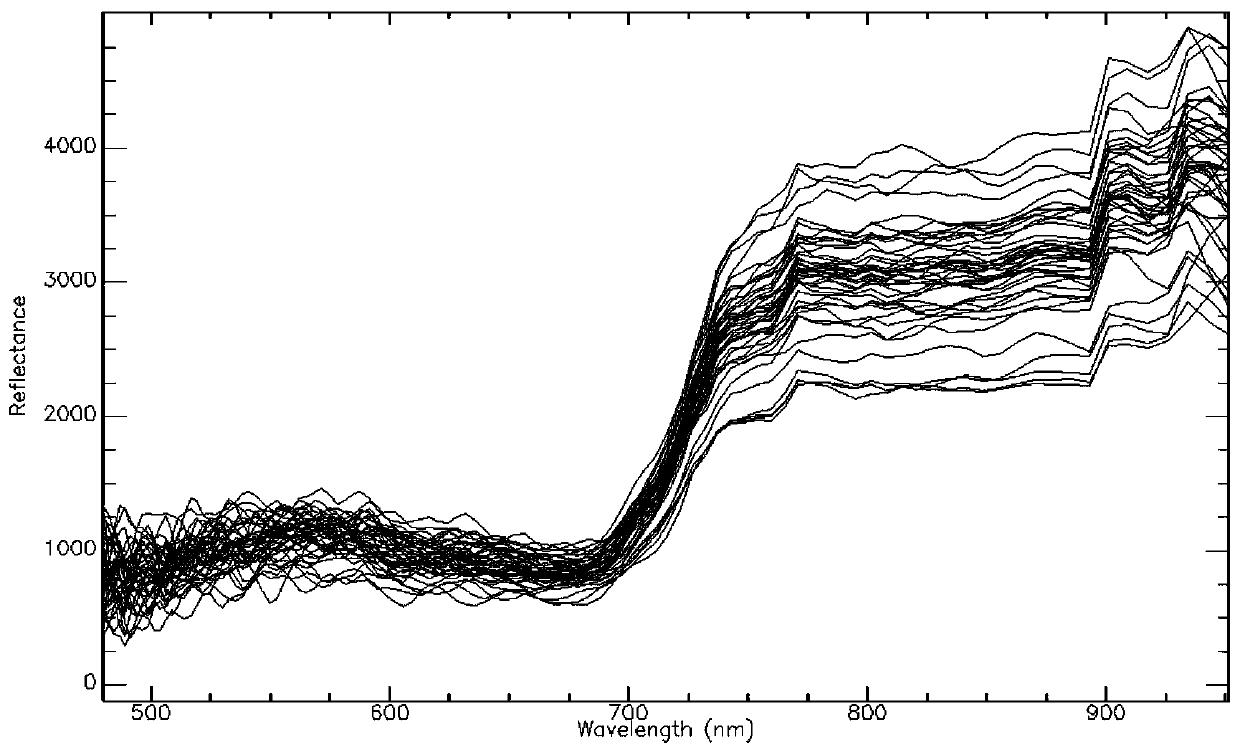 Hyperspectral vegetation index monitoring method for wetland vegetation rhizosphere soil microorganisms