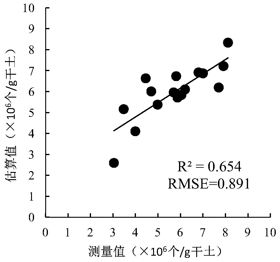 Hyperspectral vegetation index monitoring method for wetland vegetation rhizosphere soil microorganisms