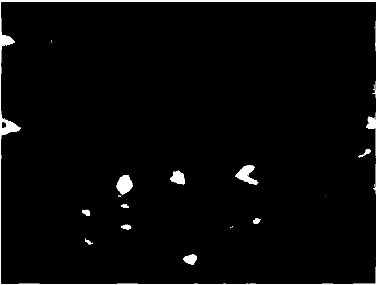 High-residual-magnetism material and preparation method therefor