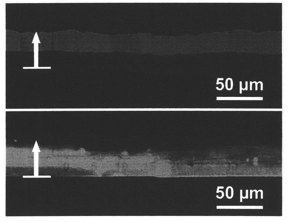 Method for preparing self-repairing polyelectrolyte coating based on layer-by-layer assembly technology