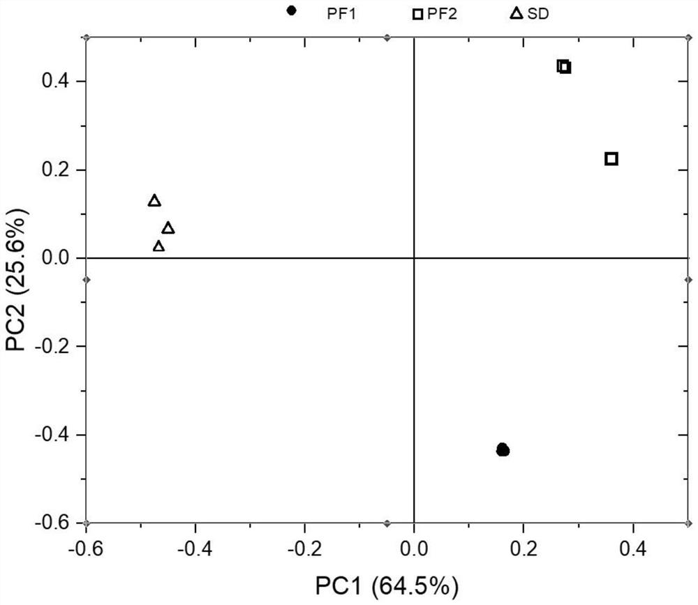 Method for mechanically frying clerodendranthus spicatus