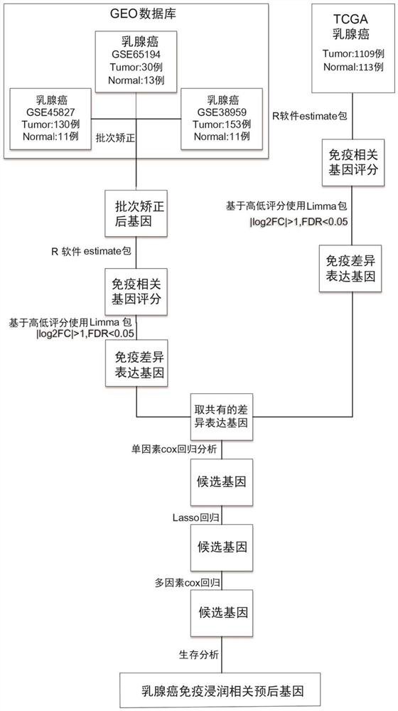 Method for screening immune infiltration related prognostic genes in breast cancer tumor microenvironment