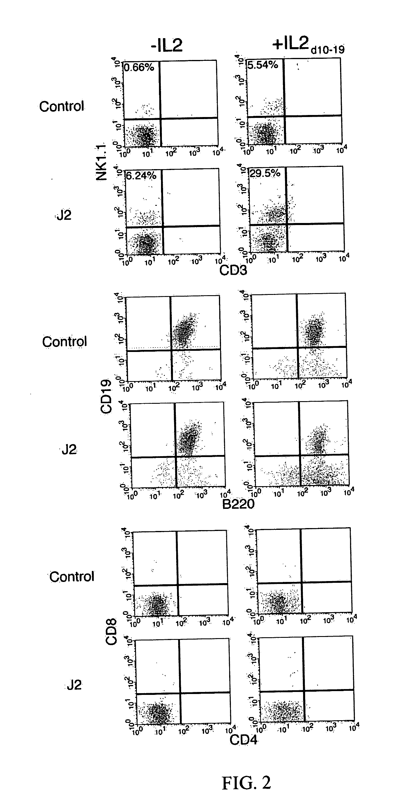 Development of natural killer cells and functional natural killer cell lines