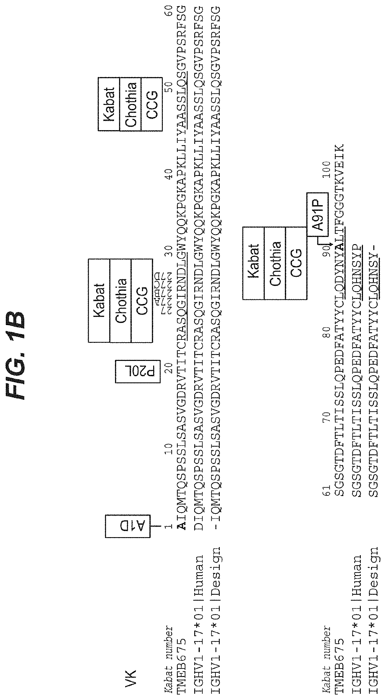 Methods for producing biotherapeutics with increased stability by sequence optimization