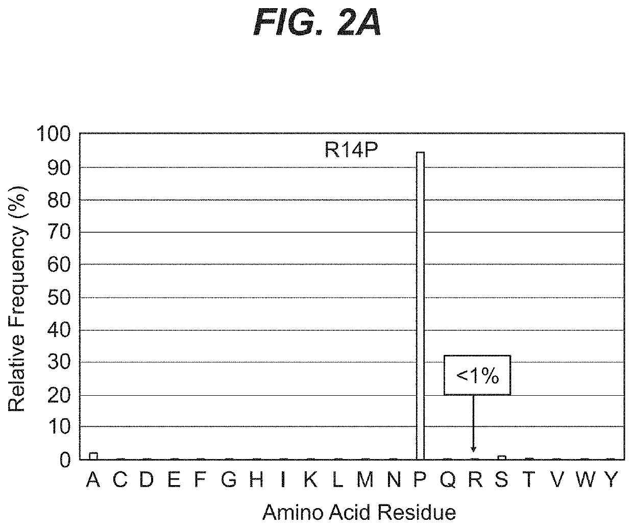 Methods for producing biotherapeutics with increased stability by sequence optimization