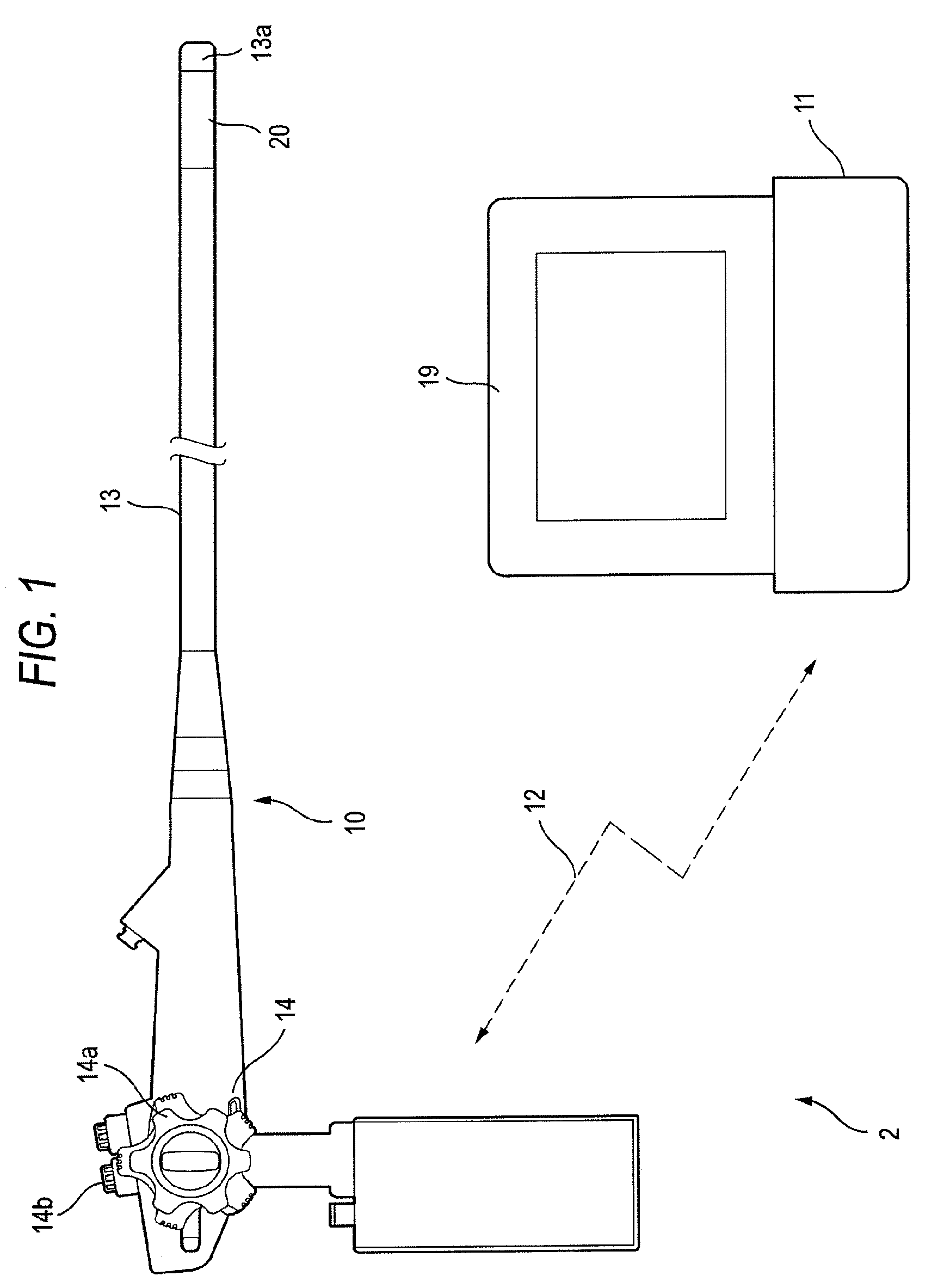 Electronic endoscope and endoscope system