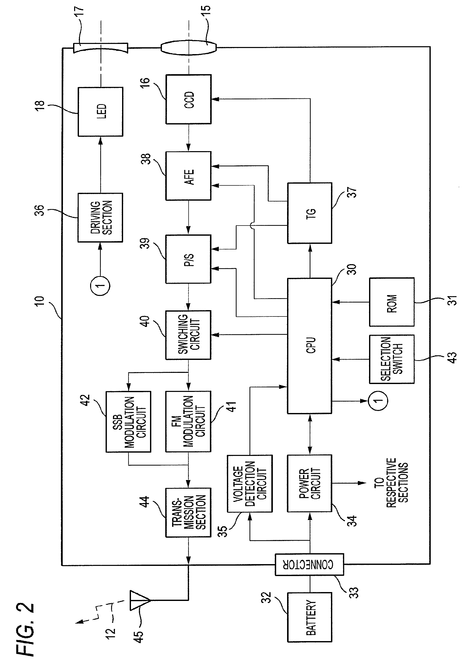 Electronic endoscope and endoscope system