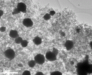 Graphene, silver phosphate and titanium dioxide dual-functional composite and method for preparing same