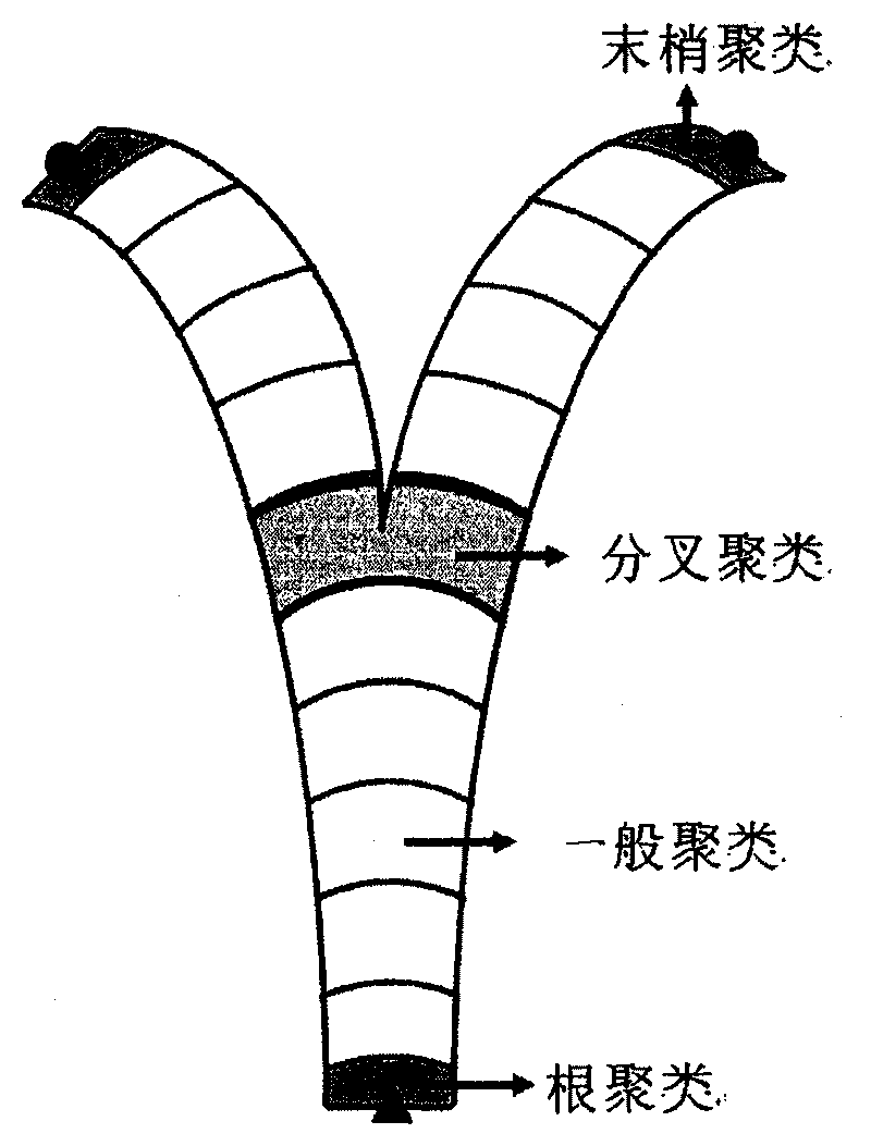 Three-dimensional framework fast extraction method based on branch feathers