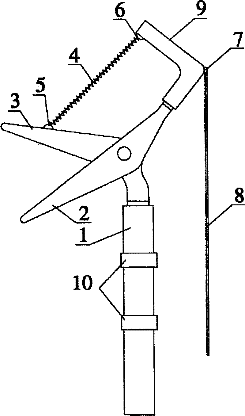 Gardening pruning tool