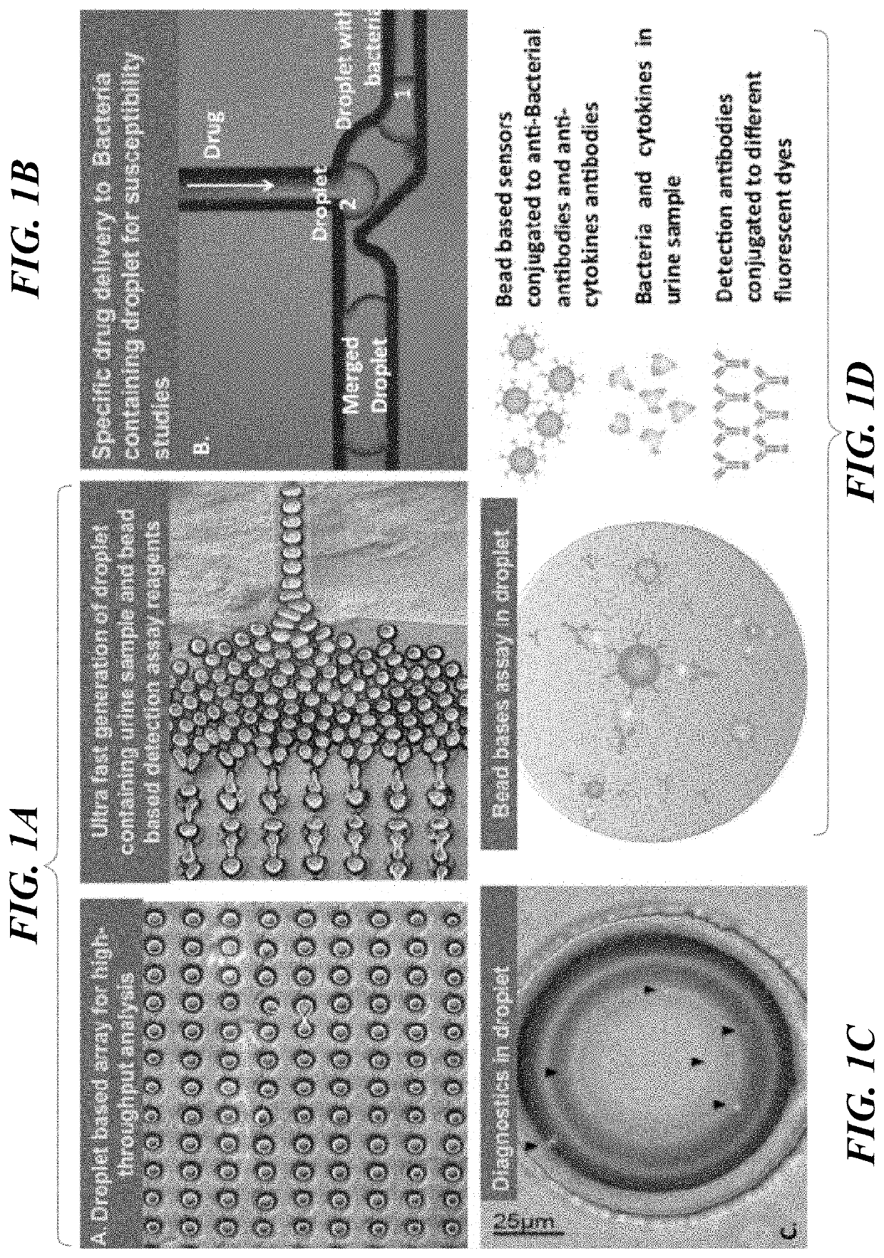 Microdroplet Based Bioassay Platform