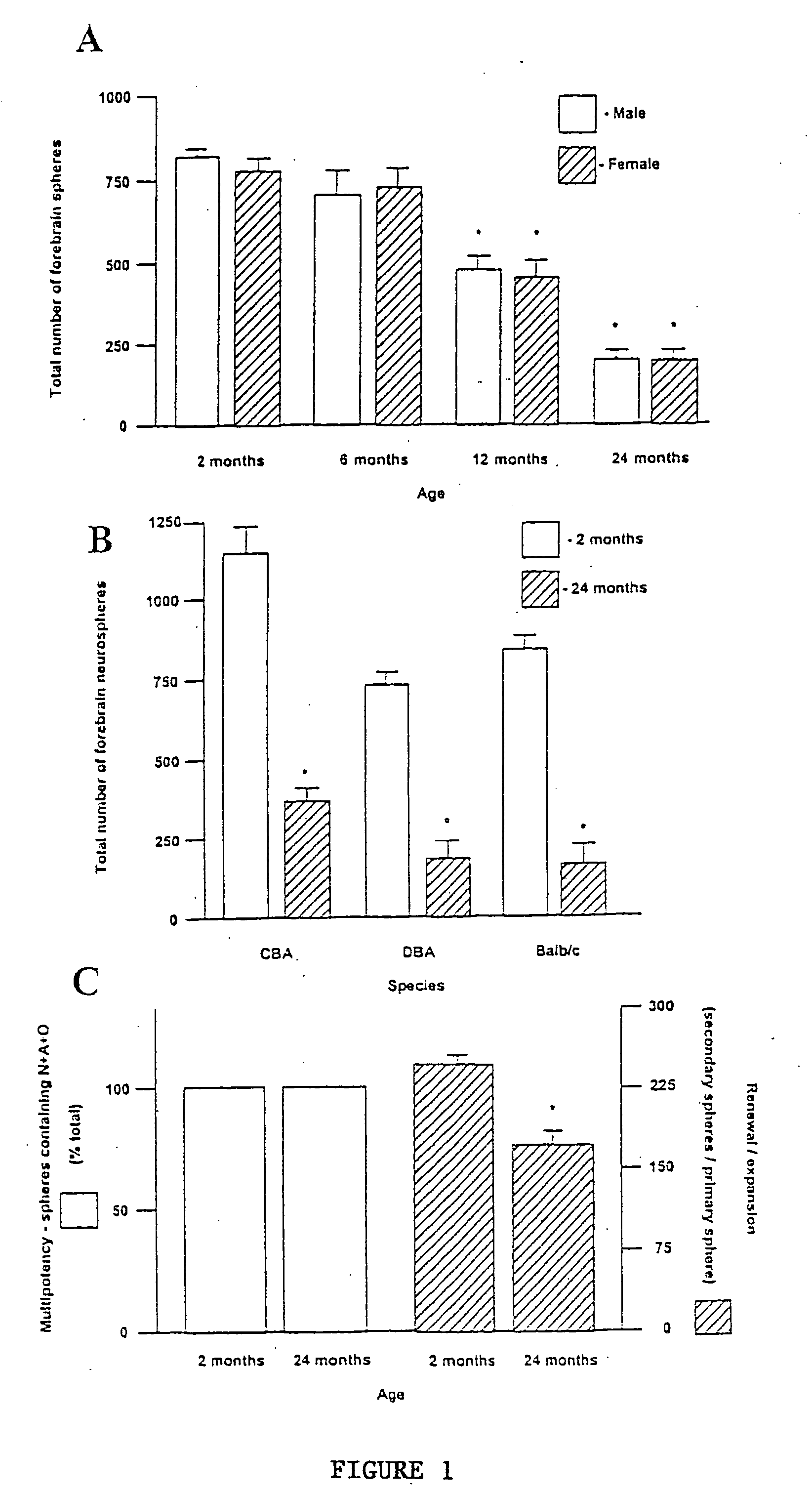 Effect of growth hormone and IGF-1 on neural stem cells