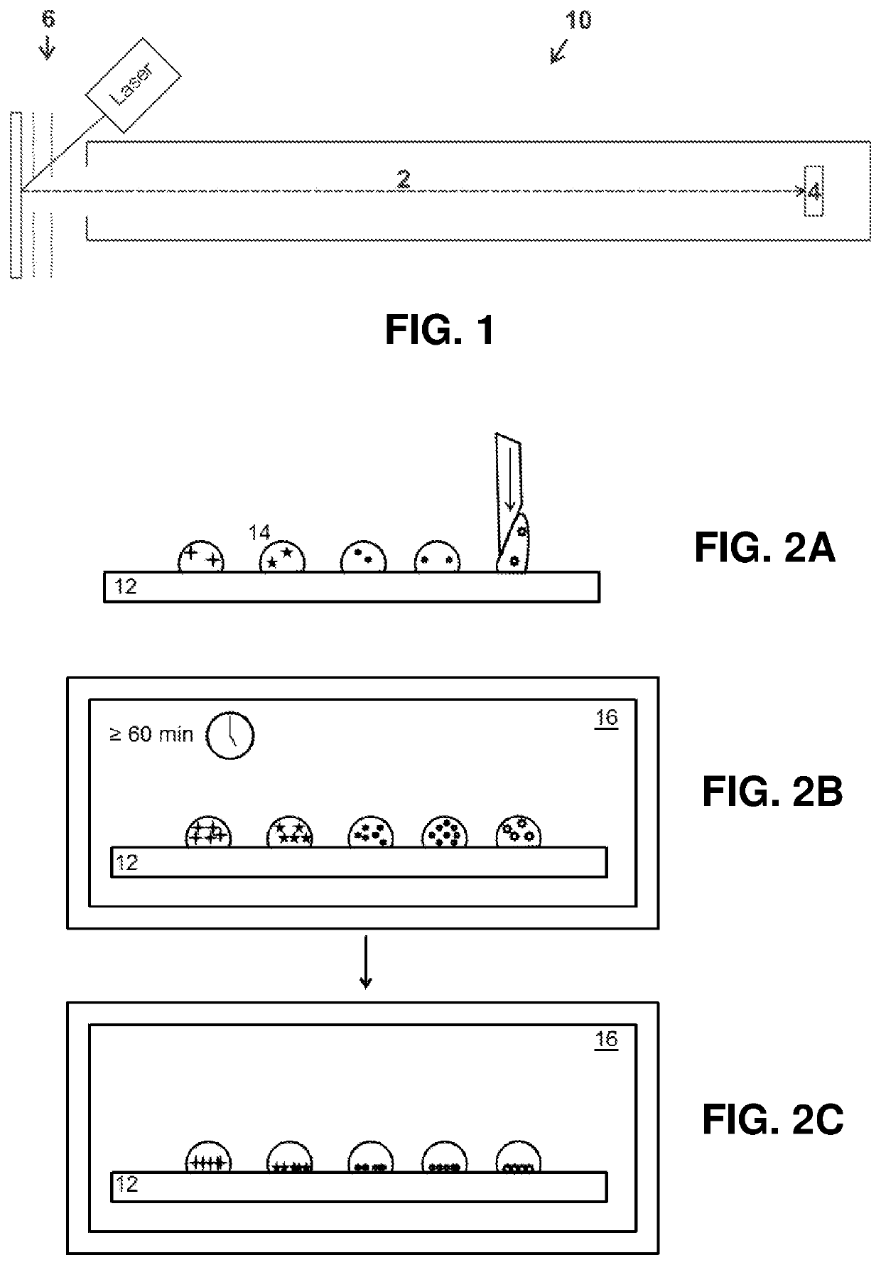 Preparing live microbial samples and microorganisms for subsequent mass spectrometric measurement and evaluation