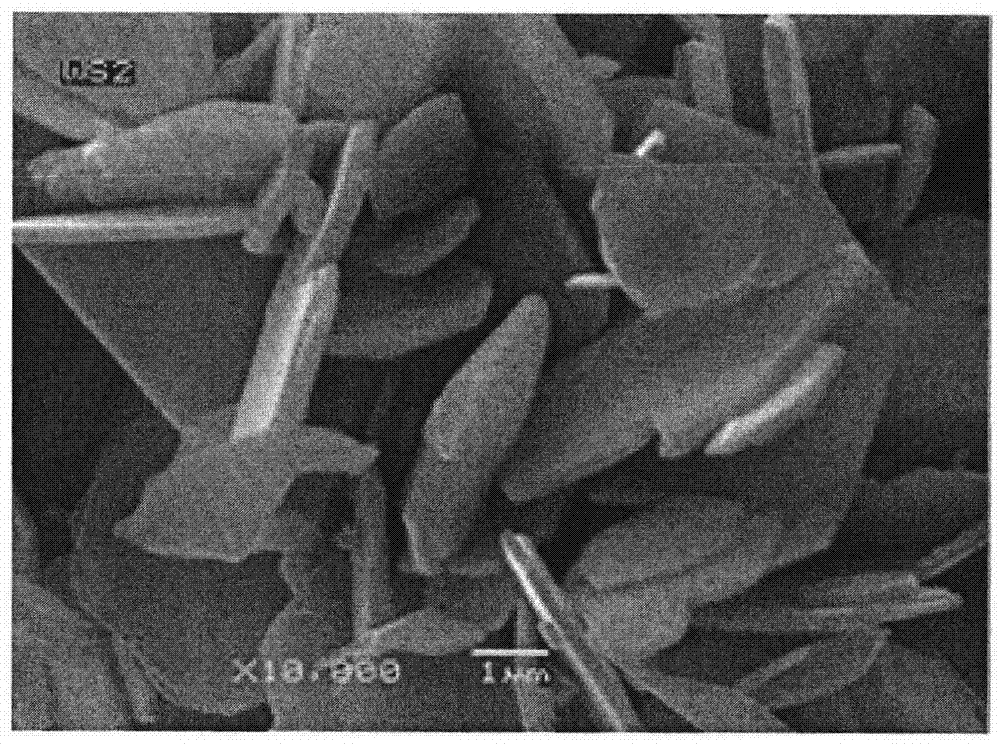 A kind of electroplating solution used for hard chrome plating by nickel-cobalt tungsten sulfide nanocrystalline alloy electroplating for piston ring and its production process