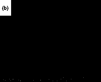 Preparation method of nano graphite sheet