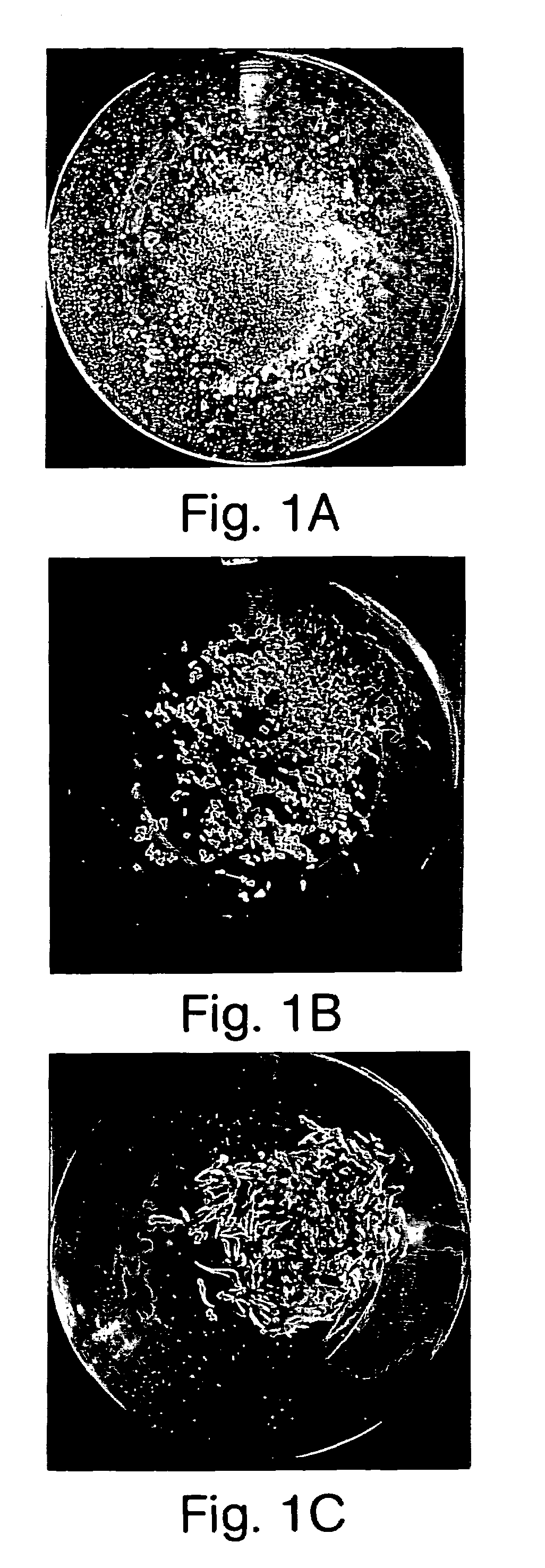 Pathogen-resistant grape plants